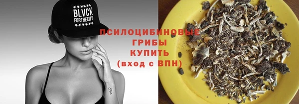 спайс Белокуриха