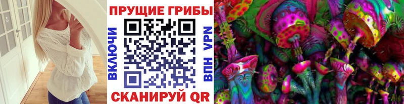 Псилоцибиновые грибы Psilocybine cubensis  Купить где  Мурино 