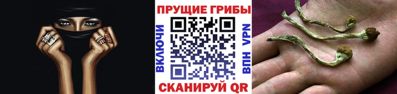 Псилоцибиновые грибы мухоморы Мурино
